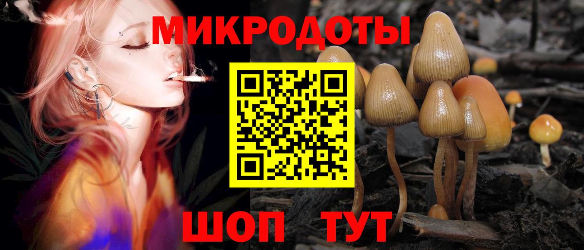 Мурино  Псилоцибиновые грибы Psilocybine cubensis  купить закладку  Вход с VPN 