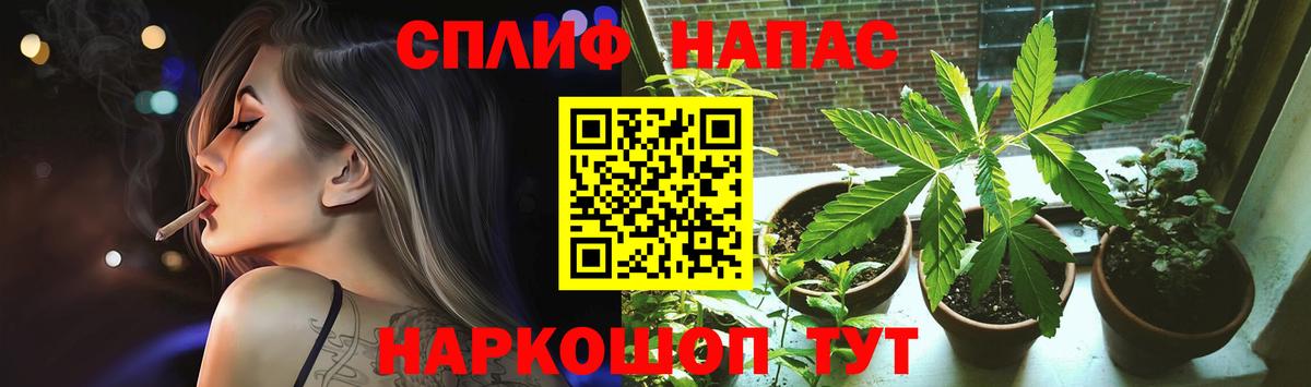 Шишки марихуана тримм  МАРИХУАНА индика  Вход с VPN  Конопля LSD WEED  Мурино 